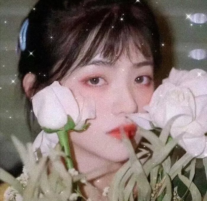 星光云寂